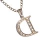 SILVER AND CUBIC ZIRCONIA 'D' PENDANT ON A STERLING SILVER CURB LINK CHAIN at Ross's Online Art Auctions