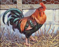 RULER OF THE ROOST by Donna Crawshaw at Ross's Online Art Auctions