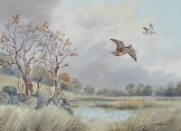 COMMON SNIPE by Robert W. Milliken at Ross's Online Art Auctions