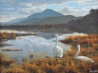 GEESE BY WETLANDS by Julian Friers RUA at Ross's Online Art Auctions