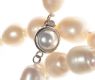 FRESHWATER PEARL NECKLACE AND WHITE METAL AND FAUX PEARL CLASP at Ross's Online Art Auctions
