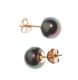 14CT GOLD AND BLACK FRESHWATER PEARL STUD EARRINGS at Ross's Online Art Auctions