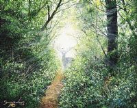 FOREST HAZE by Andy Saunders at Ross's Online Art Auctions