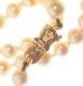 STRAND OF CULTURED PEARLS WITH 9CT GOLD CATCH at Ross's Online Art Auctions