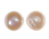 14CT GOLD CULTURED PEARL STUD EARRINGS at Ross's Online Art Auctions