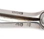 PAIR OF CAST SILVER GRAPE SCISSORS IN FITTED CASE at Ross's Online Art Auctions