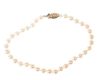 CULTURED PEARL BRACELET WITH 9CT GOLD CLASP at Ross's Online Art Auctions