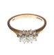 9CT GOLD AND DIAMOND TWO STONE CLUSTER RING at Ross's Online Art Auctions