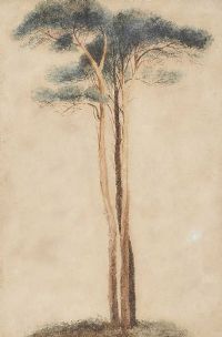 TREE STUDY by Andrew Nicholl RHA at Ross's Online Art Auctions