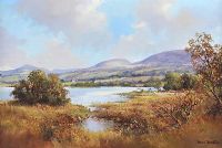 LOUGH MACNEAN NEAR BELCOO, COUNTY FERMANAGH by Denis Thornton at Ross's Online Art Auctions