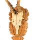 PAIR OF WALL MOUNTED ANTLER SPECIMENS at Ross's Online Art Auctions