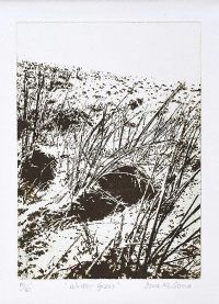 WINTER GRASS by Dora McCavera at Ross's Online Art Auctions