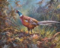 PHEASANT by Donal McNaughton at Ross's Online Art Auctions