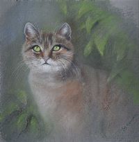CAT by Joy Mary Clements RUA at Ross's Online Art Auctions