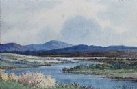 BOG STREAM, OUGHTERARD, COUNTY GALWAY by Douglas Alexander RHA at Ross's Online Art Auctions