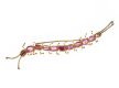 14CT GOLD AND AMETHYST CENTIPEDE BROOCH at Ross's Online Art Auctions