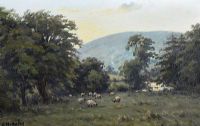 SHEEP GRAZING IN THE GLENS by Charles McAuley at Ross's Online Art Auctions