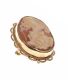 TWO CAMEO BROOCHES at Ross's Online Art Auctions