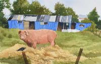 GREENISLAND PIG by James Macintyre RUA at Ross's Online Art Auctions