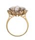 18CT GOLD OPAL AND DIAMOND CLUSTER RING at Ross's Online Art Auctions