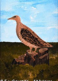 TORY ISLAND CORNCRAKE by Patsy Dan  Rodgers at Ross's Online Art Auctions