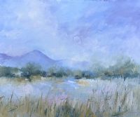 THE MOURNE MOUNTAINS FROM THE RIVER QUOILE by Sandra Maze UWS at Ross's Online Art Auctions
