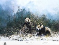 THE PANDAS OF WOLONG by David Shepherd OBE FRSA at Ross's Online Art Auctions