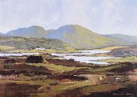 DONEGAL by Gerald J.A. Carson at Ross's Online Art Auctions