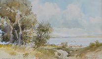 STRANGFORD LOUGH by Rowland Hill RUA at Ross's Online Art Auctions