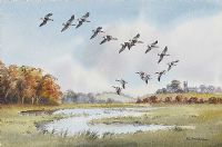 WHITEFRONTS, DOWNPATRICK MARSHES by Robert W. Milliken at Ross's Online Art Auctions