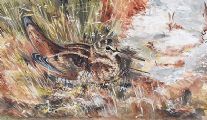WOODCOCK by Richard Haughton at Ross's Online Art Auctions