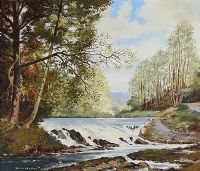 WATERFALL, TULLYMORE FOREST by Dennis Orme Shaw at Ross's Online Art Auctions