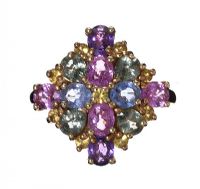 9CT GOLD FANCY COLOURED SAPPHIRE RING at Ross's Online Art Auctions