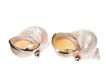PAIR OF TURBO CHRYSOSTOMUS SHELL CAVIAR SERVERS WITH TWO SILVER SPOONS at Ross's Online Art Auctions