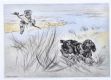 PAIR OF FRAMED HENRY WILKINSON ENGRAVINGS at Ross's Online Art Auctions
