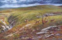 STAG ON A HILLSIDE by Joel Kirk at Ross's Online Art Auctions