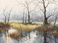 NEAR CLADY COTTAGE, DUNADRY by Tom Stephenson at Ross's Online Art Auctions