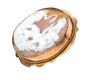 9CT GOLD MOUNTED CAMEO BROOCH at Ross's Online Art Auctions