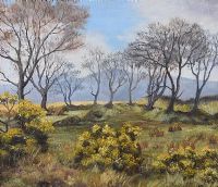 IN MOURNE COUNTRY by Elsie Beggs at Ross's Online Art Auctions