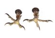 PAIR OF CLAW CANDLESTICKS at Ross's Online Art Auctions