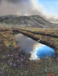 BOG REFLECTIONS by Sam Mateer RUA at Ross's Online Art Auctions