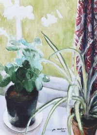 STILL LIFE, POTTED PLANTS by James MacKeown RUA at Ross's Online Art Auctions
