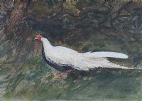 BIRD STUDY by Sir Robert Ponsonby Staples Bt at Ross's Online Art Auctions