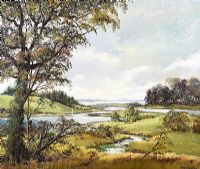NEAR RINGHADDY, STRANGFORD LOUGH by Denis Thornton at Ross's Online Art Auctions