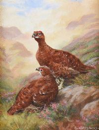 GROUSE by Glynn Williams at Ross's Online Art Auctions