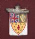 ULSTER UNIONIST  CONVENTION BADGE 1892 at Ross's Online Art Auctions