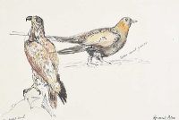 BIRD STUDIES by Raymond Piper RUA at Ross's Online Art Auctions