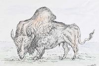 BISON by George Campbell RHA RUA at Ross's Online Art Auctions