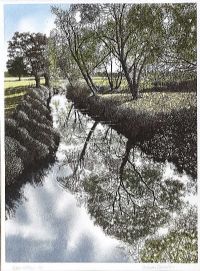 WATER WILLOWS by Graham Evendon at Ross's Online Art Auctions