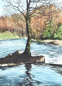DARK TREE, RIVER BUSH by James McNulty at Ross's Online Art Auctions